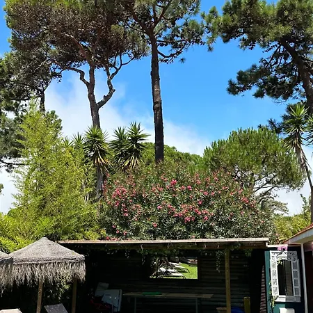 Lux Quinta Da Marinha *